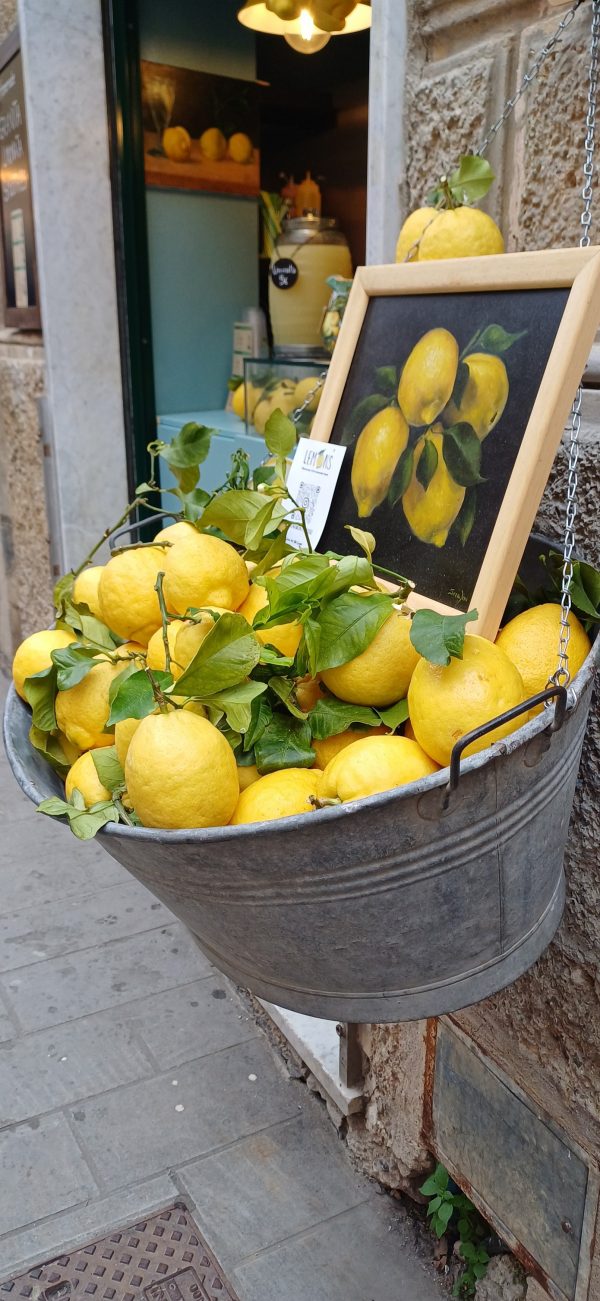 LES CINQUE TERRE – Image 2