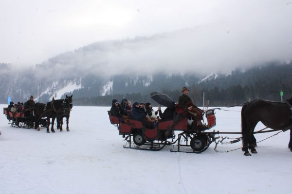 MAGIE DES TRAINS SUISSES EN HIVER – Image 8