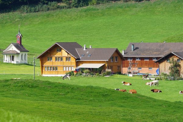 LAC DE CONSTANCE, CHUTES DU RHIN, APPENZELL – Image 7