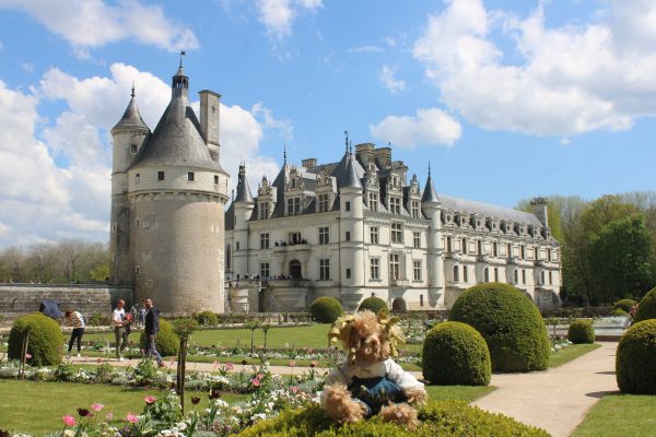 LA SOLOGNE, LES CHATEAUX ET LE ZOO DE BEAUVAL – Image 13