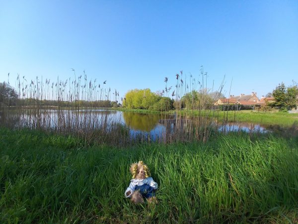 LA SOLOGNE, LES CHATEAUX ET LE ZOO DE BEAUVAL – Image 10