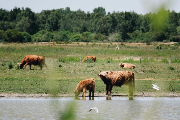 DE LA BAIE DE SOMME A LA COTE D'OPALE – Image 5