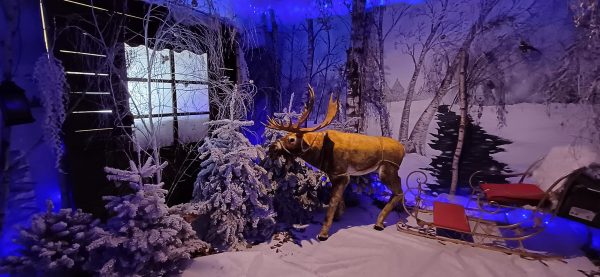 NOEL DANS LES CHATEAUX – Image 10