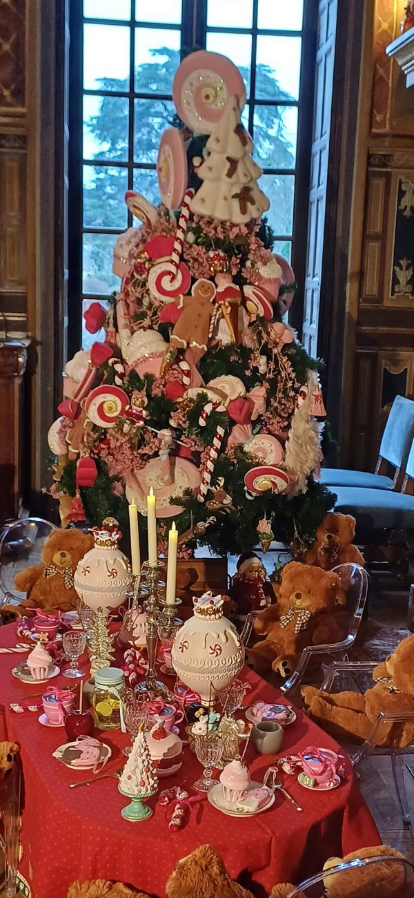NOEL DANS LES CHATEAUX – Image 2