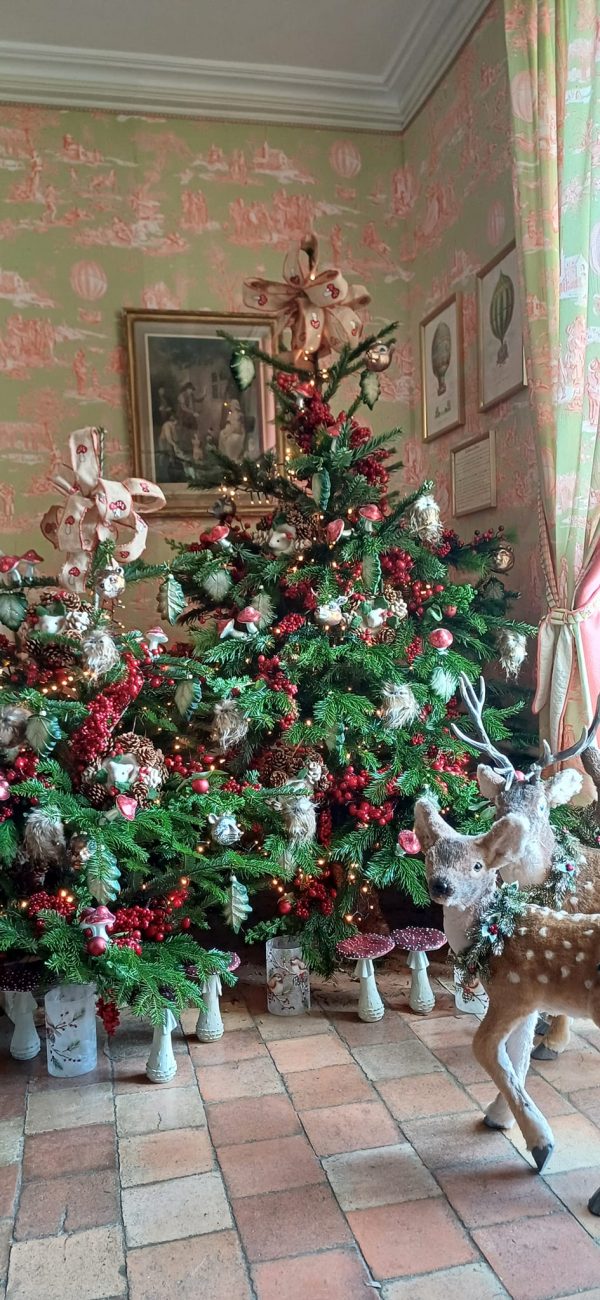 NOEL DANS LES CHATEAUX – Image 3