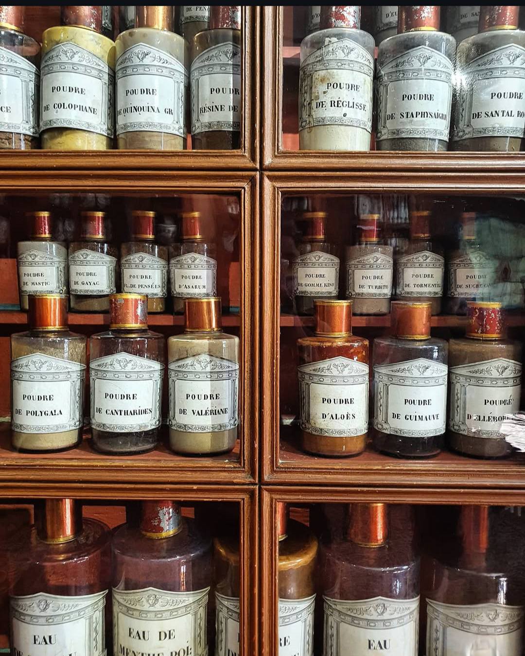 L'AUTOMNE EN BOURGOGNE – Image 11