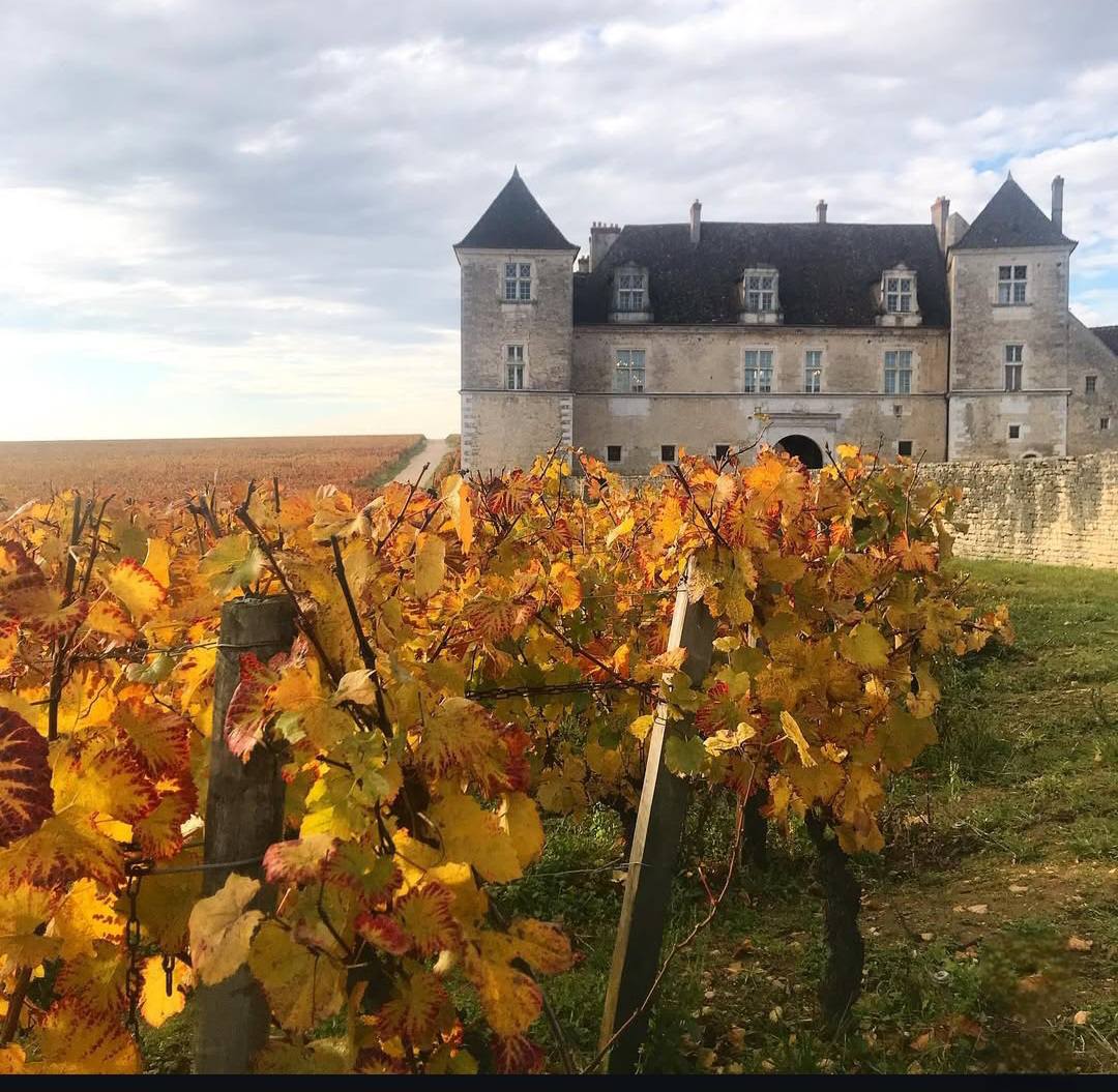 L'AUTOMNE EN BOURGOGNE