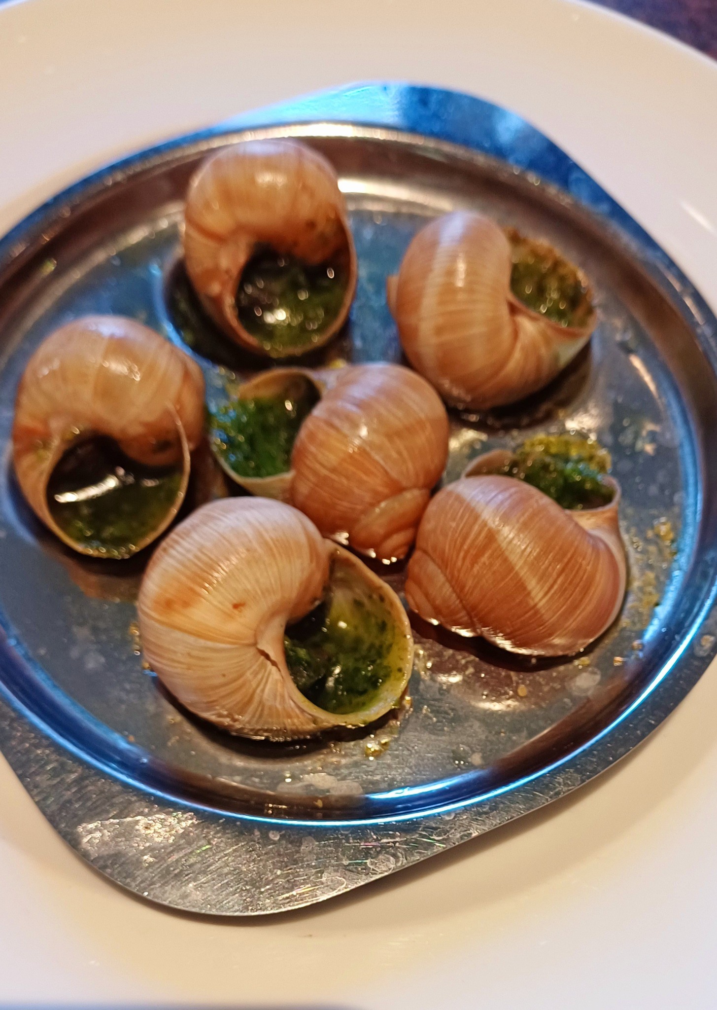 L'AUTOMNE EN BOURGOGNE – Image 4