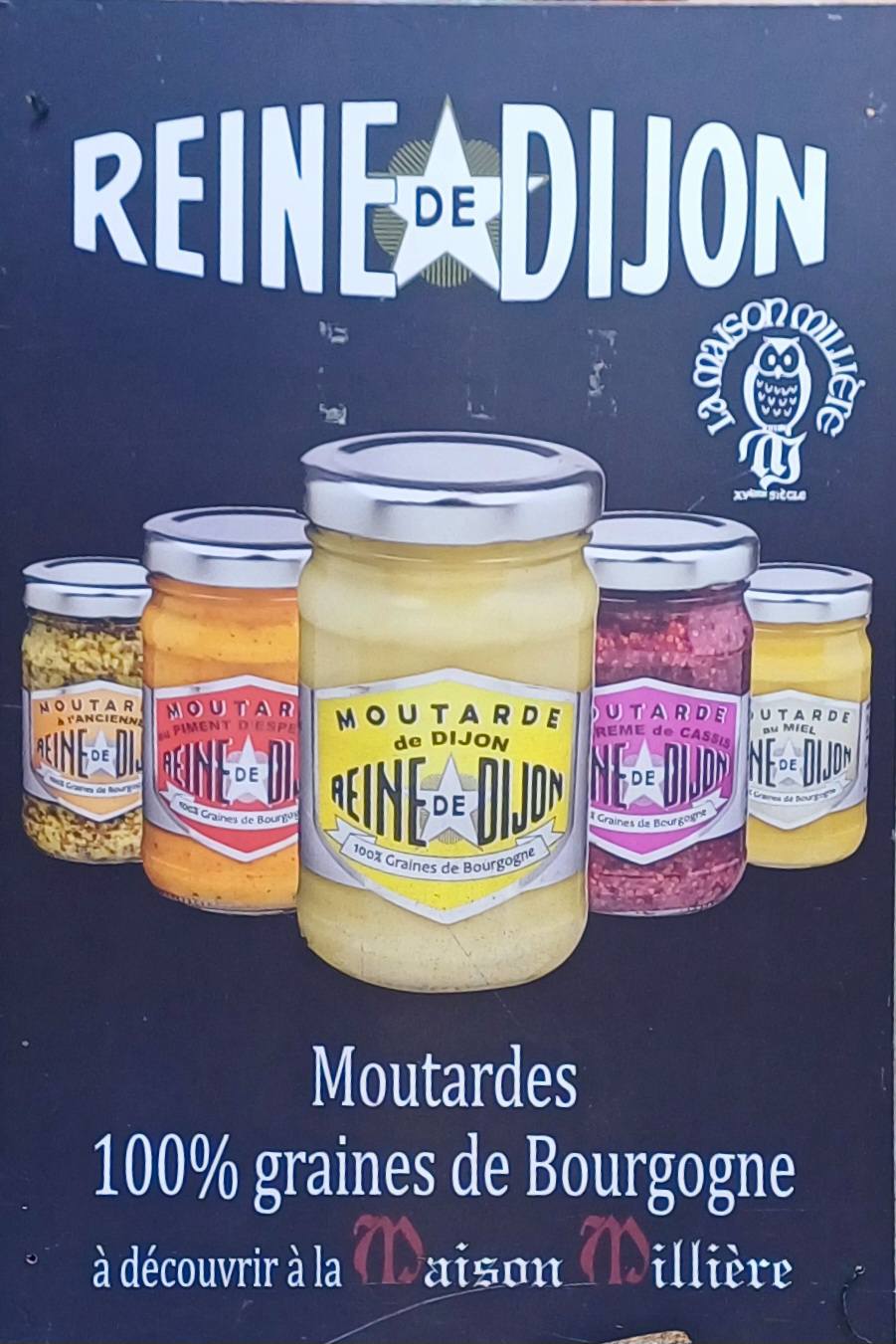 L'AUTOMNE EN BOURGOGNE – Image 6