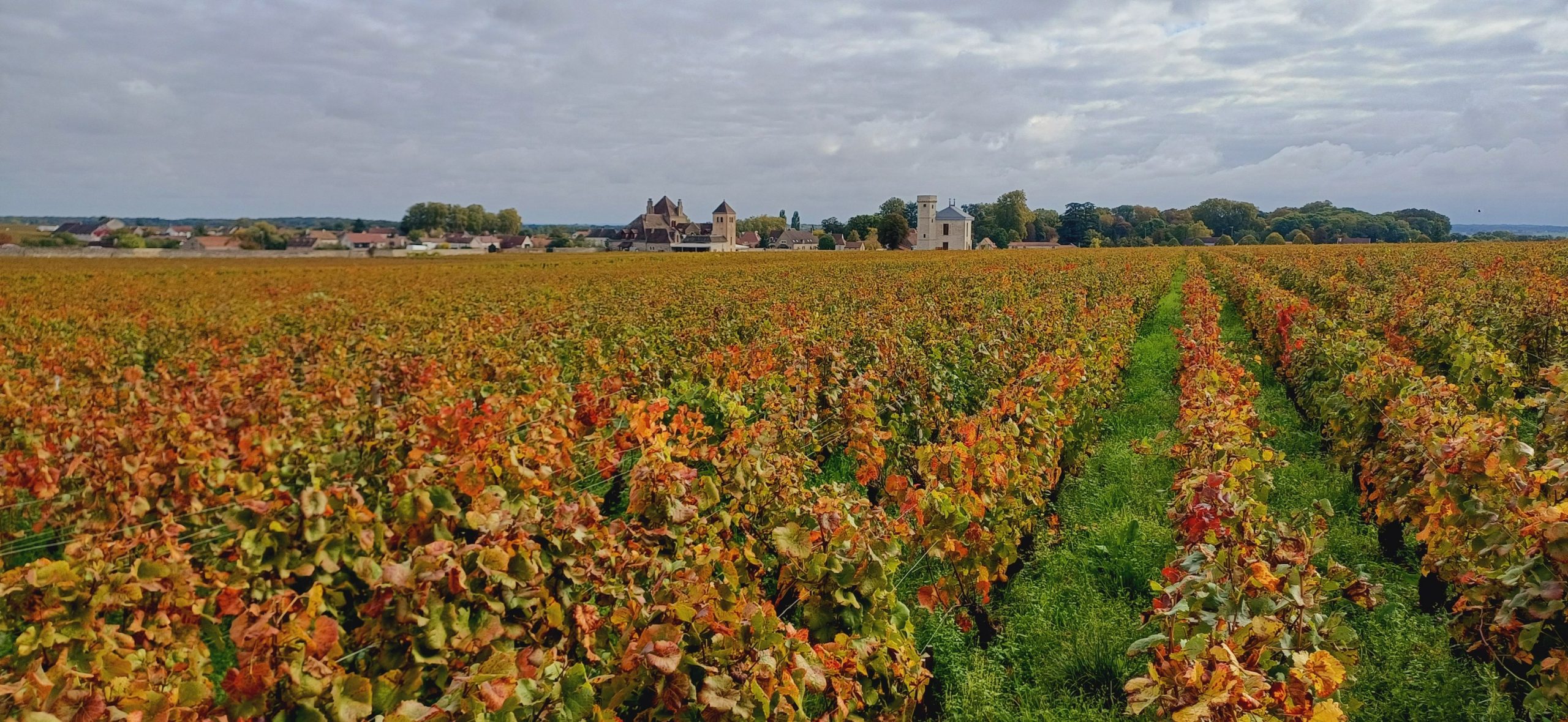 L'AUTOMNE EN BOURGOGNE – Image 9